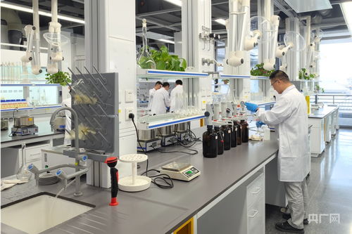 固廢堆里掘財富 粉煤灰“燒”出循環經濟新產業